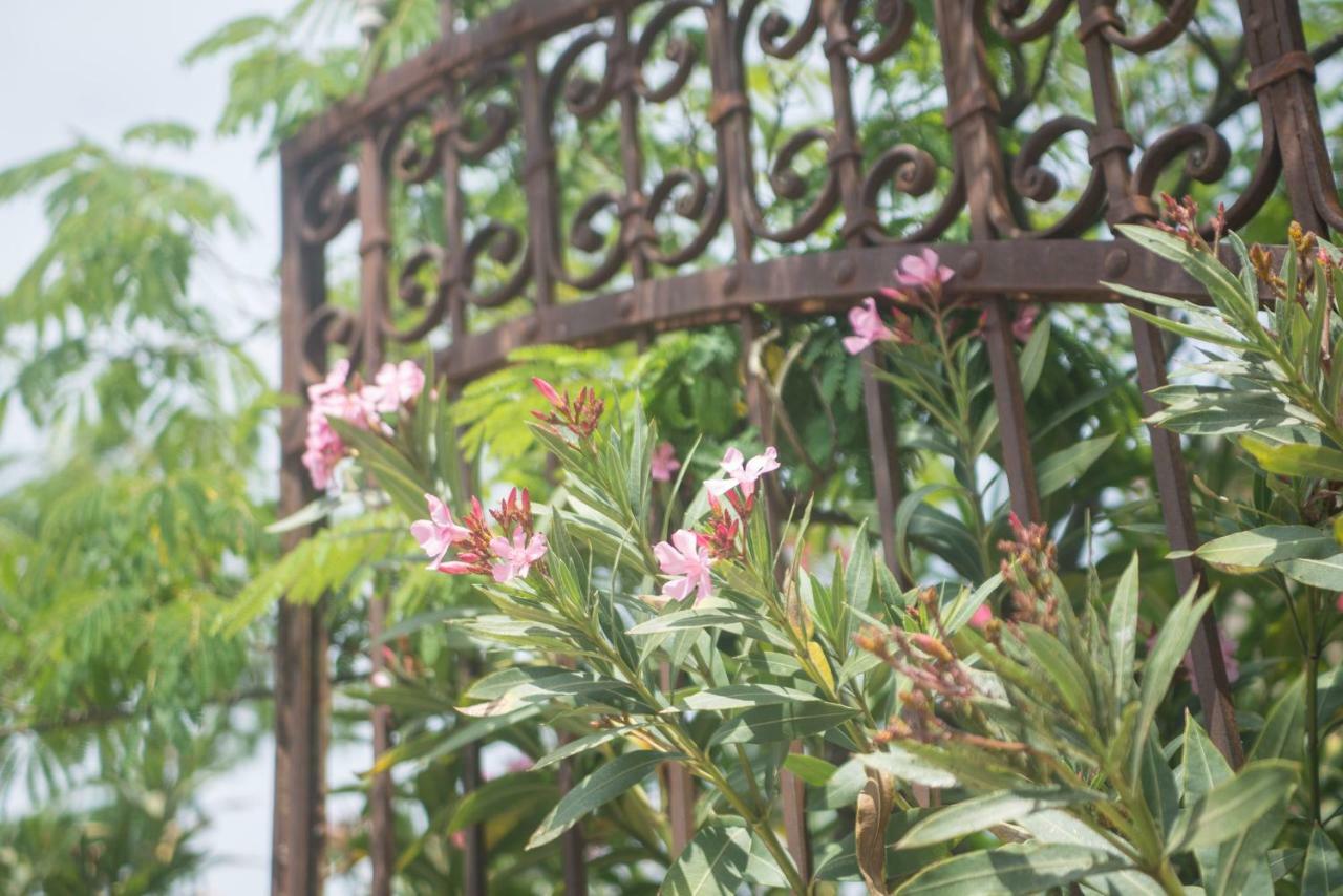 Vinauberge Poilhes المظهر الخارجي الصورة
